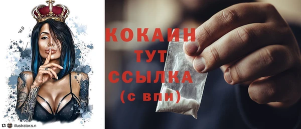 дживик Абаза
