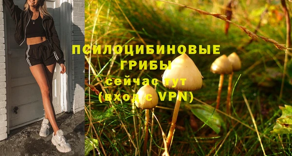 дживик Абаза