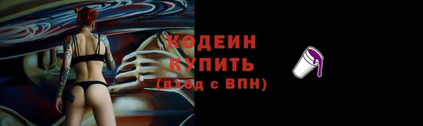 дживик Абаза