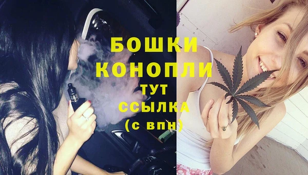 дживик Абаза