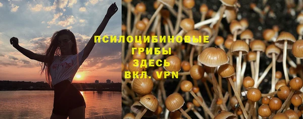 МДПВ Рославль